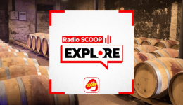 Le Beaujolais nouveau est de retour !