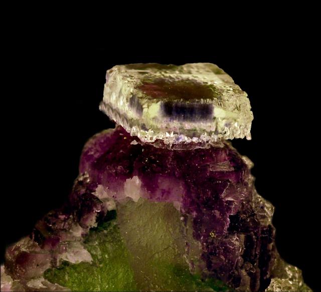 Salon de minéraux et fossiles