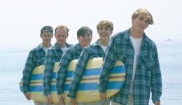 Les Beach Boys