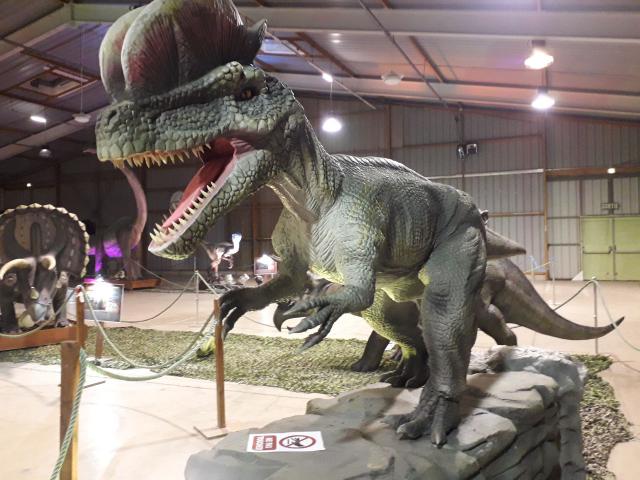 Exposition Le Monde des Dinosaures