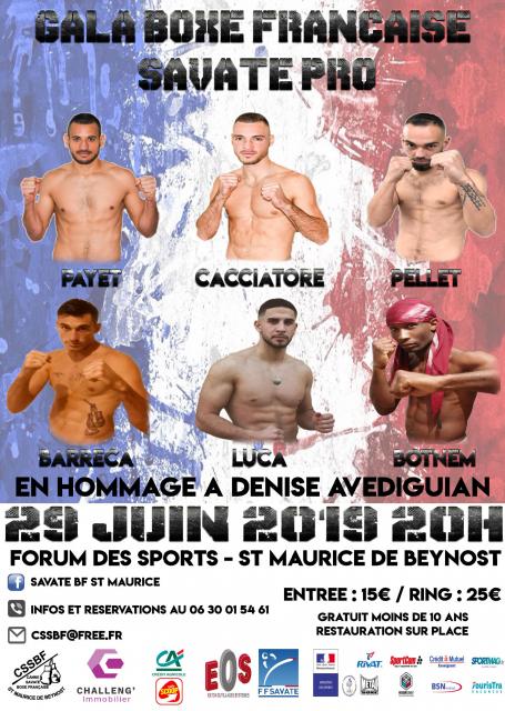 Affiche 1ère édition du gala de boxe française "savate pro"
