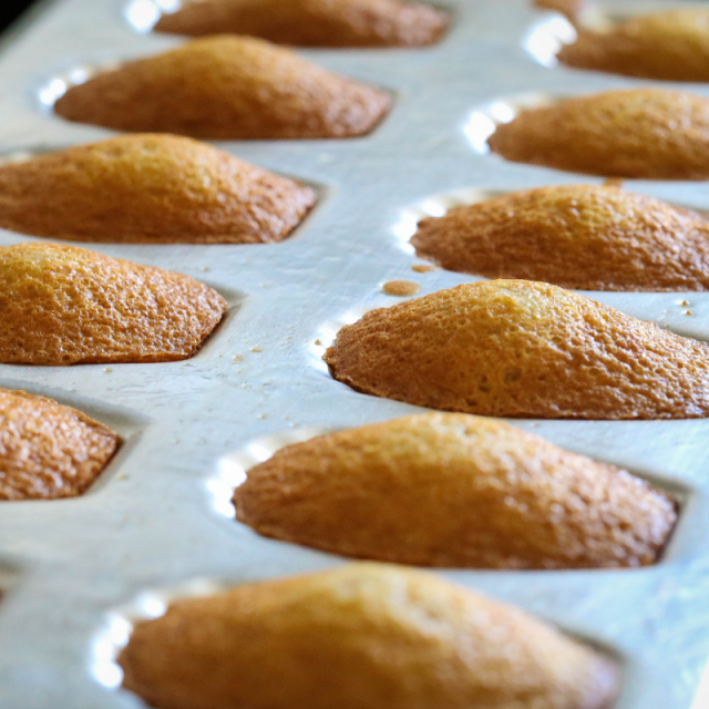 Madeleines au citron © cc0