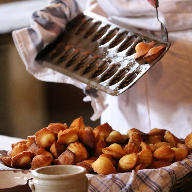 Madeleines au citron © cc0
