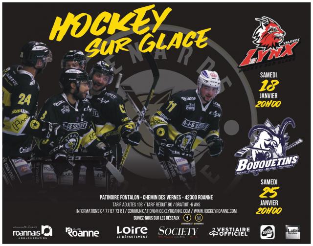 Hockey sur glace : les deux prochains matchs des Renards