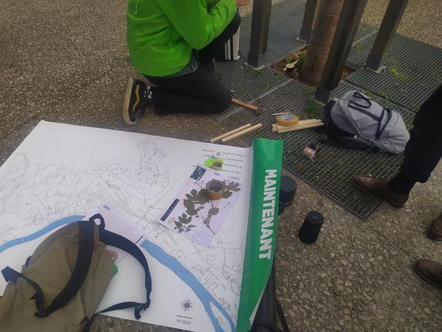 Atelier végétalisation dans le 9e arrondissement. © Radio Scoop