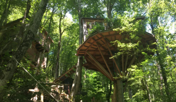 Cabane © Radio France