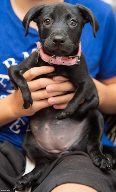 Roo dans les bras de Luke © Daily Mail