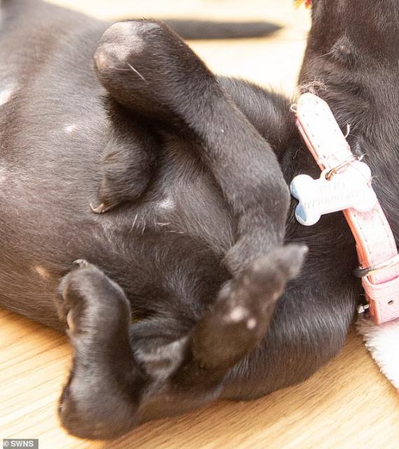 Roo était avant la famille de Luke non désirée à cause de sa malformation © tn8