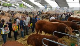 Le Sommet de l'élevage à la grande Halle d'Auvergne, près de Clermont-Ferrand (Puy-de-Dôme)