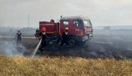 Des pompiers intervenant sur un feu de végétation.
