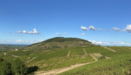 Le Mont Brouilly dans le Beaujolais