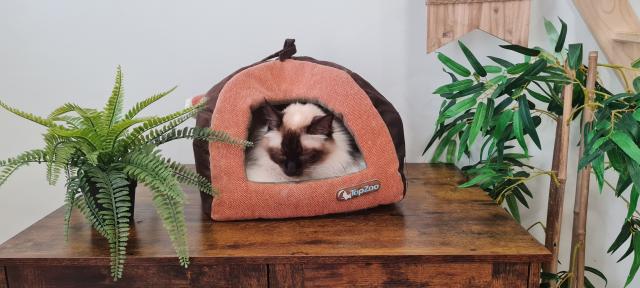 Un jeune pensionnaire. © Radio Scoop