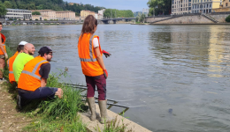 Les bénévoles de l'association Des Espèces Parmi'Lyon en plein chantier.