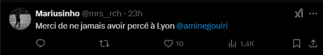 Supporter de l'OL sur X (anciennement Twitter).