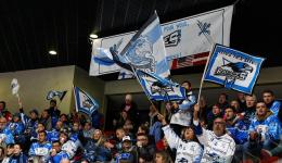 Les Rapaces de Gap terminent derniers du classement de Ligue Magnus et risquent la relégation en division 1
