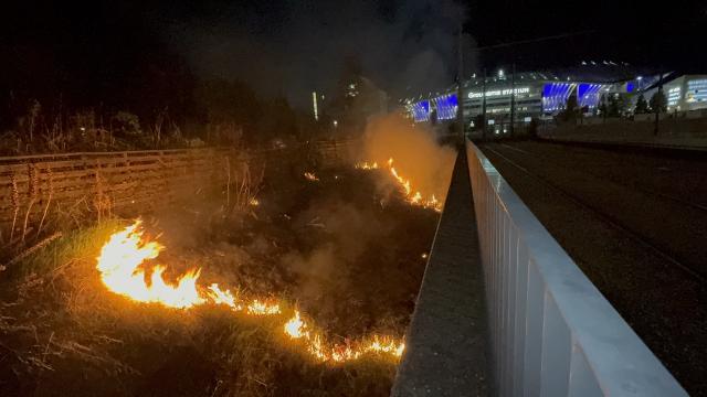 Les flammes se sont rapidement propagées sur plusieurs mètres carrés de végétation. Juste à côté des voies de tramway. © Radio SCOOP - Tom Bonnard