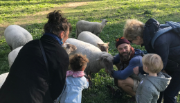La Petite Transhumance est de retour à Lyon entre les 1er et 4 octobre 2025