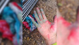 Les lanternes lâchées à Caluire-et-Cuire se sont retrouvées à la Bergerie Urbaine