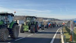 Les agriculteurs se mobilisent dans le Puy-de-Dôme (image d'illustration)