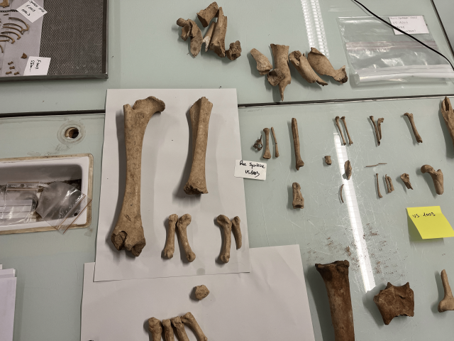 © Radio SCOOP - Lea Duperrin