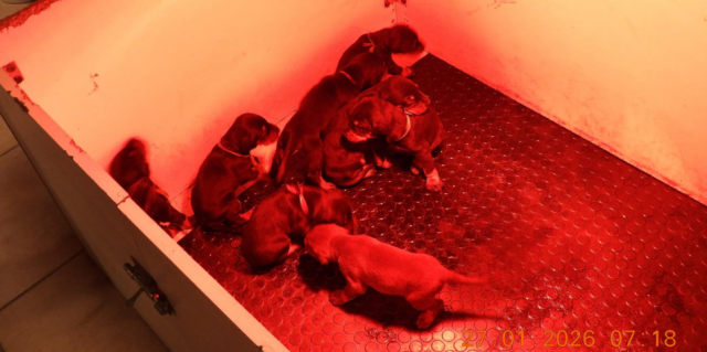 © X / Gendarmerie nationale