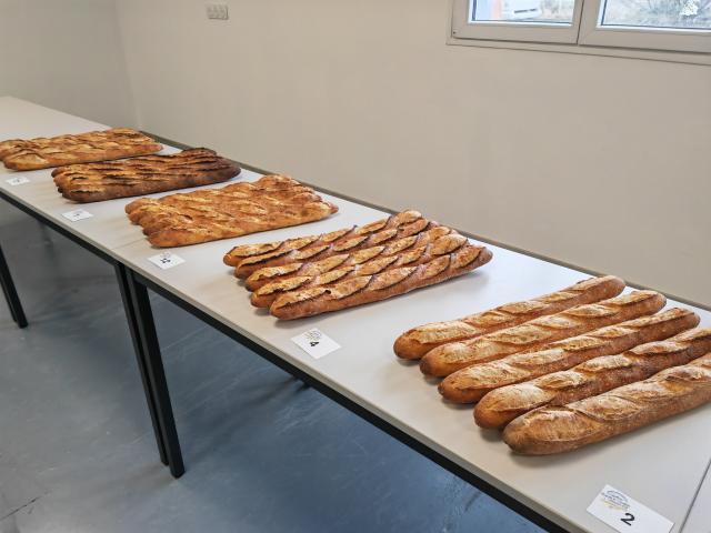 concours meilleure baguette de tradition francaise puy de dome et allier 2026© Fédération des artisans boulangers du Puy