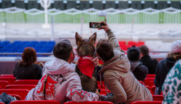 Des supporters d'OL Lyonnes avec leur chien au Stade de Décines