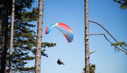 Un parapentiste a atterri en urgence dans un arbre à Savines-le-Lac, mardi 26 mai