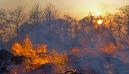 L'Ain et la Saône-et-Loire sont placés en vigilance orange pour canicule et feux de forêt