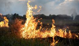 Un incendie a détruit, ce dimanche 21 juin, 12 hectares de champ à Deux-Grosnes, dans le nord du Rhône