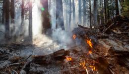 Un nouveau record de température a été battu à Mâcon et la Saône-et-Loire est placée en risque sévère pour les feux de forêt