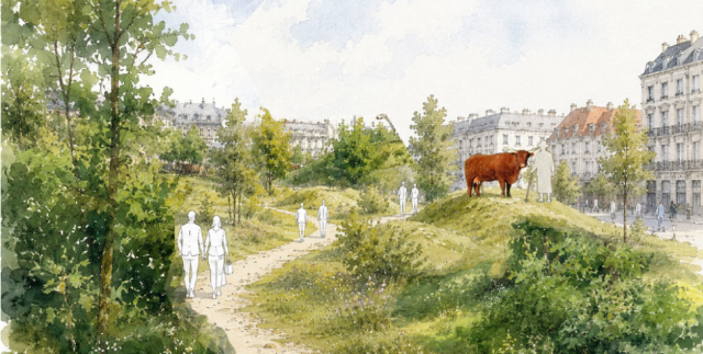 Une prairie place de Jaude © Nicolas Triboï