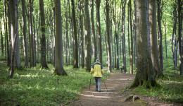 En vue de l'été, de bons gestes sont à connaître pour profiter en toute sécurité de la forêt