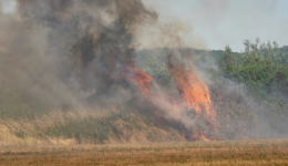 Depuis plusieurs jours, les feux de végétation s'enchaînent sur le département de la Loire