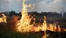 Un incendie a détruit plusieurs hectares de bois à hauteur de la commune de Jardin, près de Vienne