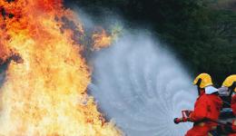 Des pompiers luttant pour éteindre un feu de végétation