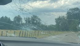 De gros grêlons sont tombés à Andrézieux-Bouthéon ce jeudi 16 juillet, provoquant d'importants dégâts.