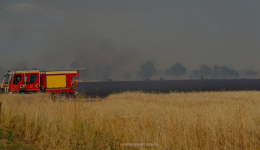 Les pompiers de l'Allier sont mobilisés pour un feu d'espaces naturels qui a déjà parcouru 14 hectares