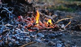Un départ de feu.