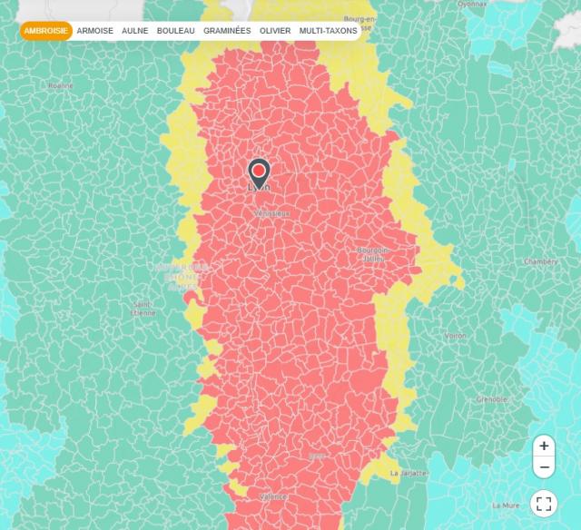 La carte d'exposition aux pollens © Atmo Auvergne-Rhône-Alpes