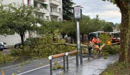 Un arbre est tombé sur la route quai Paul Sédaillan à Lyon ce vendredi matin après un violent orage