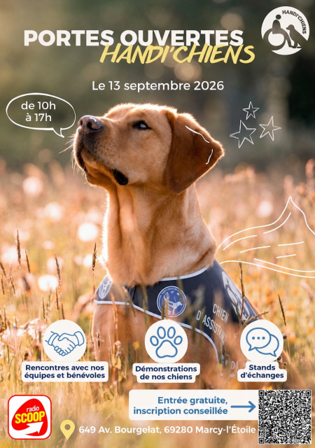 chiens