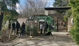 L'espace zoologique de Saint-Martin-la-Plaine reste le site le plus visité de l'été dans la Loire
