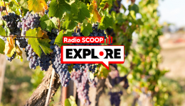 Radio SCOOP Explore - Après la sécheresse, cultiver la Terre.