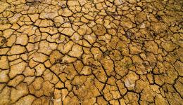Le Puy-de-Dôme bénéficie dâun dispositif de soutien après la baisse des rendements agricoles liée à la sécheresse de lâété 2026