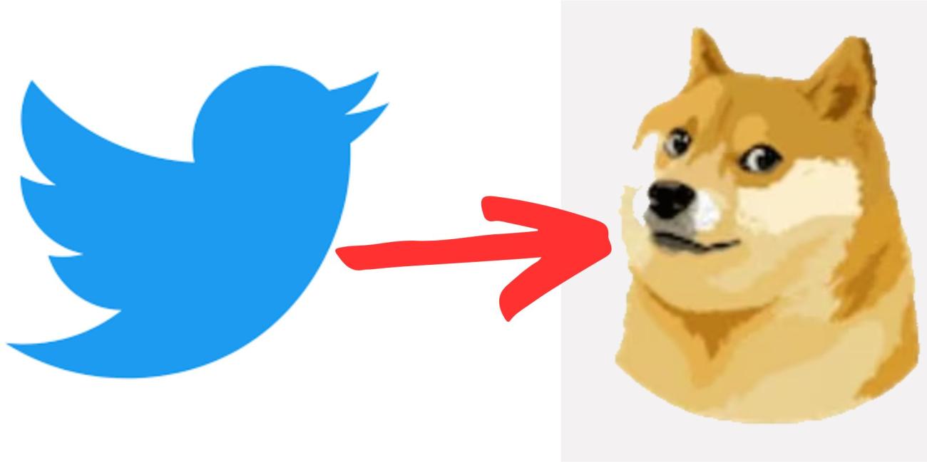 Cychiens Pourquoi l'oiseau de Twitter a été remplacé par un chien ? - Radio SCOOP