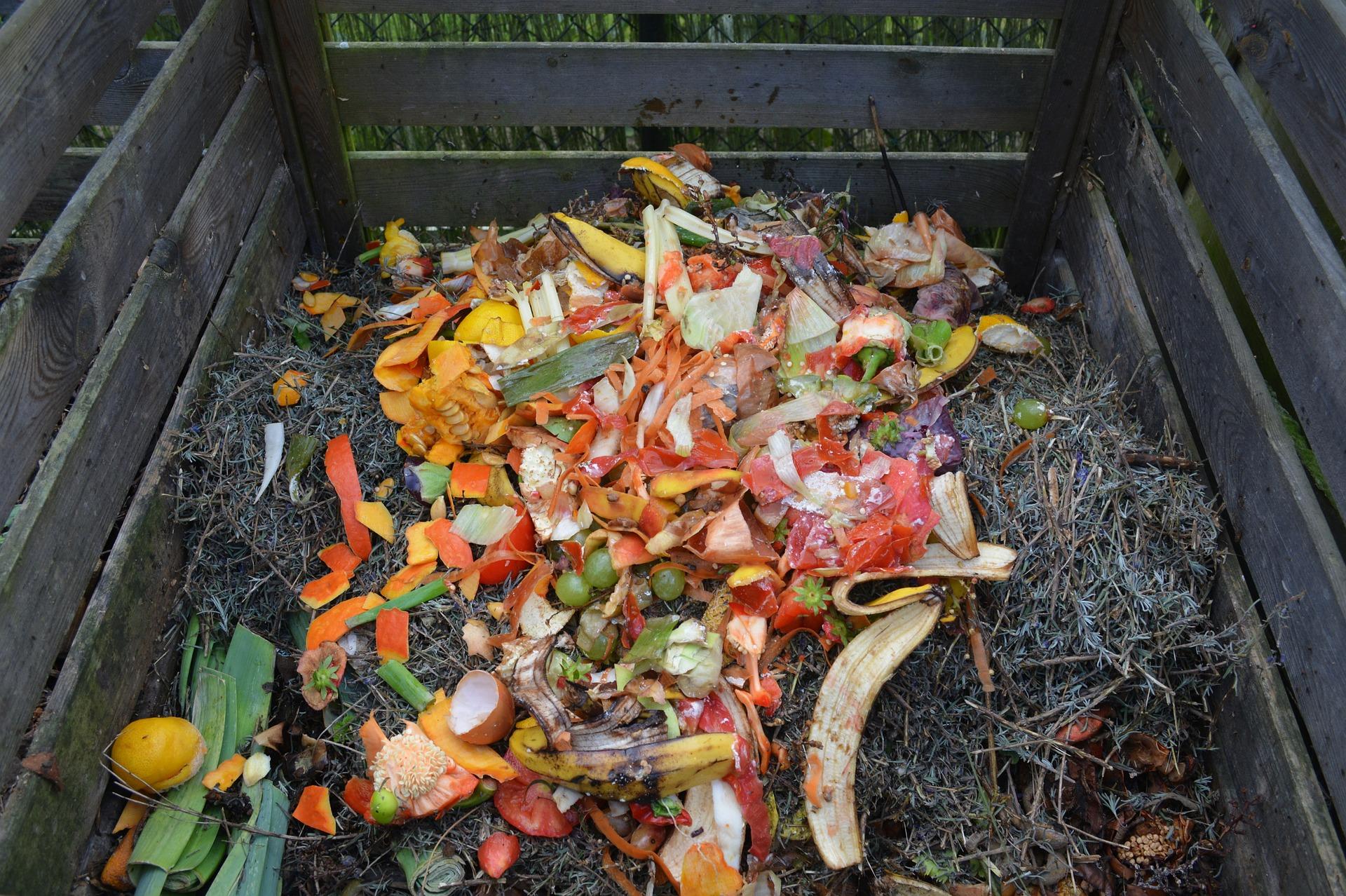 Bioseau et compost : une idée pour les citoyens sans jardin