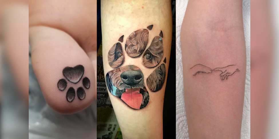 La Tendance Du Moment Se Faire Tatouer Les Empreintes De Son Chien Radio Scoop